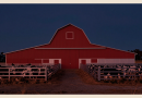 Ionia County resident confirmed with swine flu after county fair