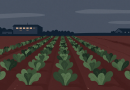 Michigan cyclospora outbreak slows as case totals continue to rise